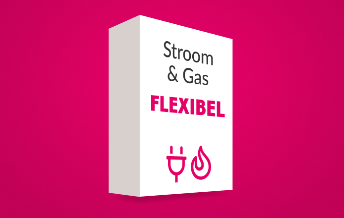 Een icoon met het energiecontract flexibel