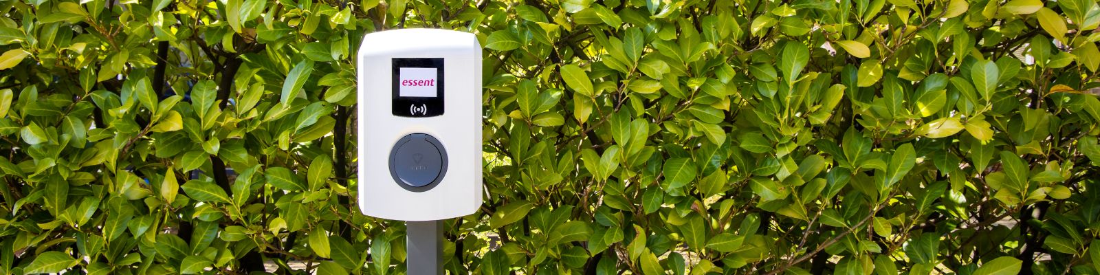 laadpaal voor een heg