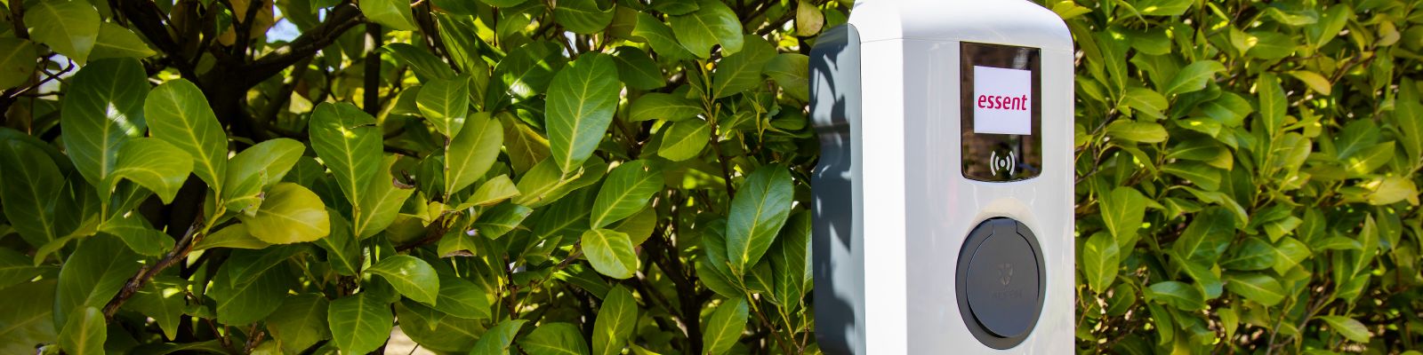 laadpaal staat voor een heg