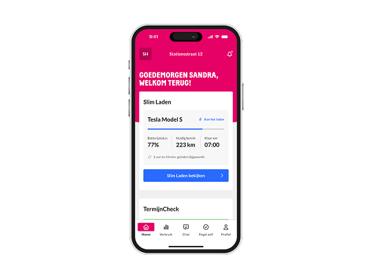 Voorbeeld van Slim Laden in de Essent app