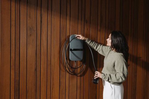 Alfen Eve Single S Line laadpaal op een oprit