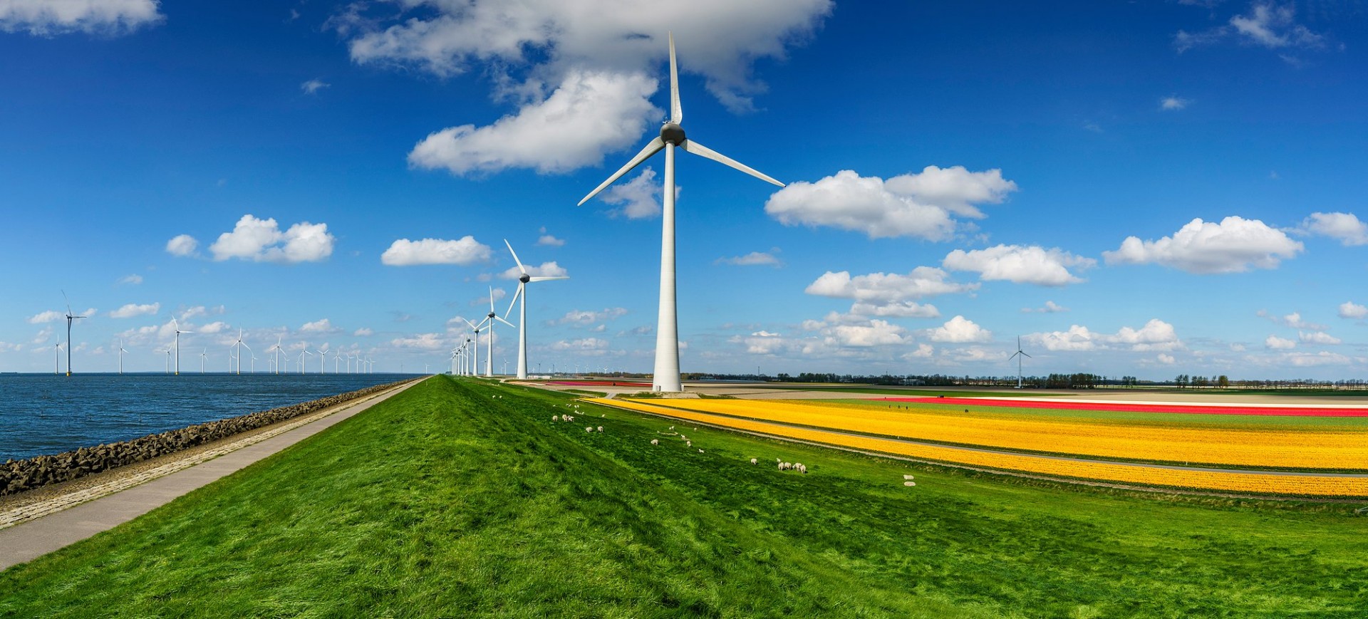 Energiebedrijf Essent verduurzaamt het stroomaanbod door de komende 15 jaar groene stroom uit Groningse windparken te kopen.