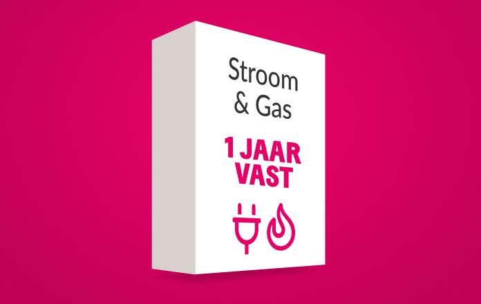 Vast energiecontract voor 1 jaar
