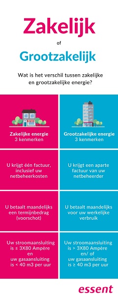 Infographic grootzakelijke of zakelijke energie