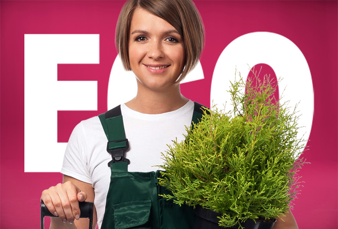 Top 5 zakelijke besparingen voor ecofans